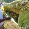 2019.01.01 නව වසර සැමරීම් උත්සවය